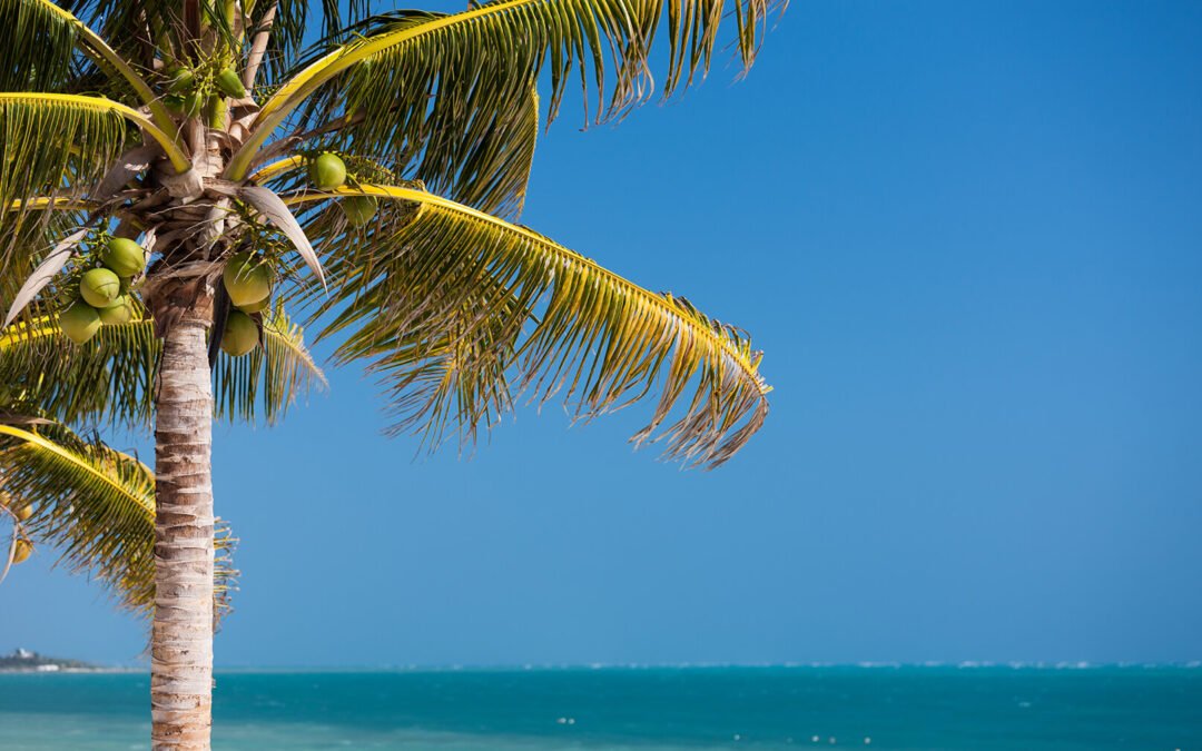 Beach Lifestyle Teeth: The Truth About Whitening in Tropical Climates — What Works in Key West